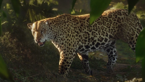 theHunter: Call of the Wild - Peru Hunting Reserve (PC) - Steam Key - GLOBAL - 12