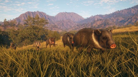 theHunter: Call of the Wild - Rancho del Arroyo (PC) - Steam Gift - GLOBAL - 7