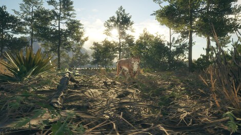 theHunter: Call of the Wild - Rancho del Arroyo (PC) - Steam Gift - GLOBAL - 4
