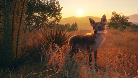 theHunter: Call of the Wild - Rancho del Arroyo (PC) - Steam Gift - GLOBAL - 11