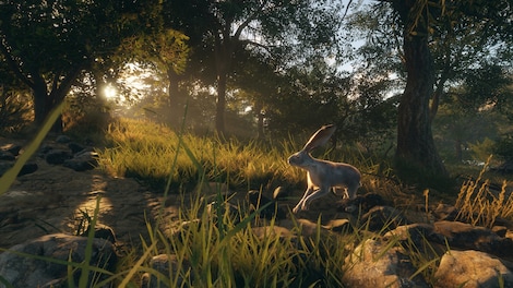 theHunter: Call of the Wild - Rancho del Arroyo (PC) - Steam Gift - GLOBAL - 10