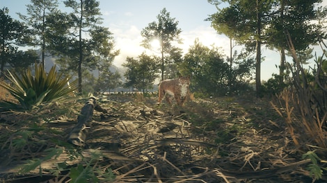 theHunter: Call of the Wild - Rancho del Arroyo (PC) - Steam Key - GLOBAL - 4
