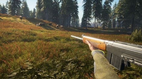 TheHunter: Call of the Wild - Rapid Hunt Rifle Pack (PC) - Steam Key - GLOBAL - 6