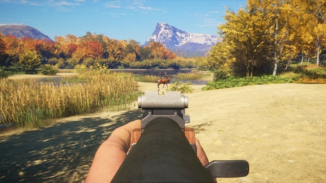 TheHunter: Call of the Wild - Rapid Hunt Rifle Pack (PC) - Steam Key - GLOBAL - 11