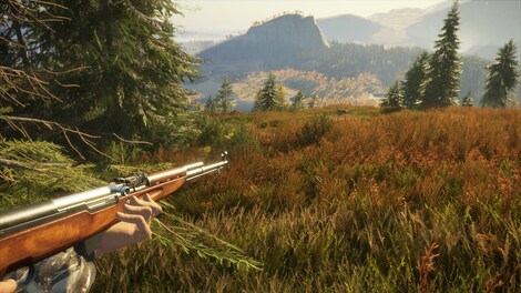 TheHunter: Call of the Wild - Rapid Hunt Rifle Pack (PC) - Steam Key - GLOBAL - 7