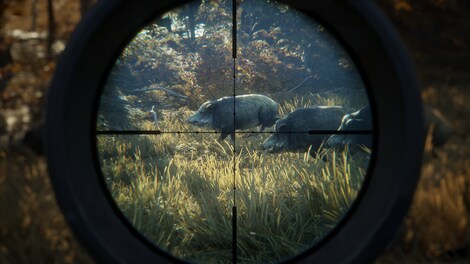 theHunter: Call of the Wild | Reserve Bundle (Xbox One) - Xbox Live Key - ARGENTINA - 6