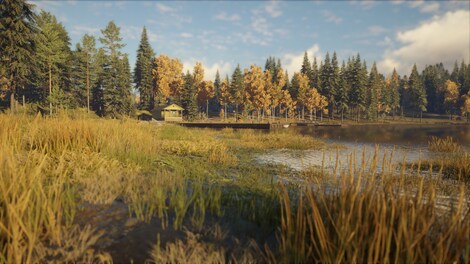 theHunter: Call of the Wild - Revontuli Coast (PC) - Steam Gift - GLOBAL - 5