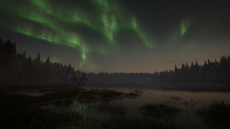 theHunter: Call of the Wild - Revontuli Coast (PC) - Steam Gift - GLOBAL - 9