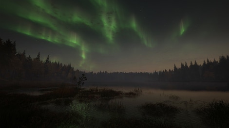 theHunter: Call of the Wild - Revontuli Coast (PC) - Steam Key - GLOBAL - 9