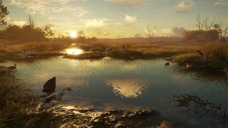 TheHunter: Call of the Wild - Salzwiesen Park (PC) - Steam Key - EUROPE - 3
