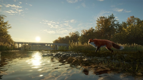 TheHunter: Call of the Wild - Salzwiesen Park (PC) - Steam Key - EUROPE - 5