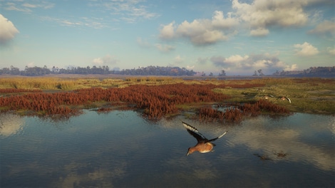 TheHunter: Call of the Wild - Salzwiesen Park (PC) - Steam Key - EUROPE - 6