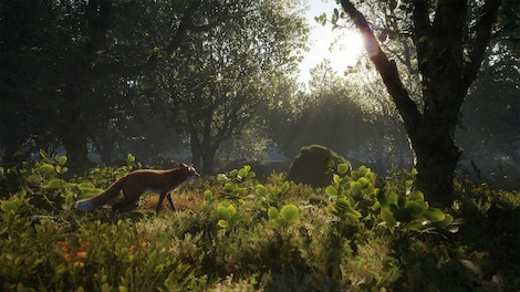 theHunter: Call of the Wild - Scotland Hunting Reserve (PC) - Steam Key - GLOBAL - 6
