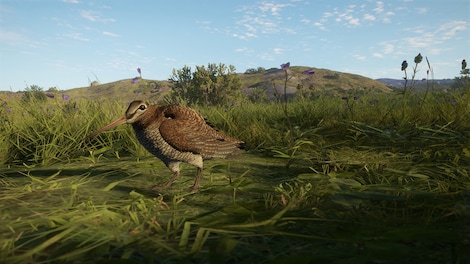 theHunter: Call of the Wild - Scotland Hunting Reserve (PC) - Steam Key - GLOBAL - 8