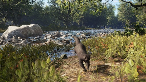theHunter: Call of the Wild - Scotland Hunting Reserve (PC) - Steam Key - GLOBAL - 9