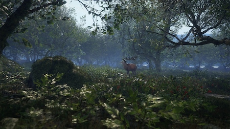 theHunter: Call of the Wild - Scotland Hunting Reserve (PC) - Steam Key - GLOBAL - 11