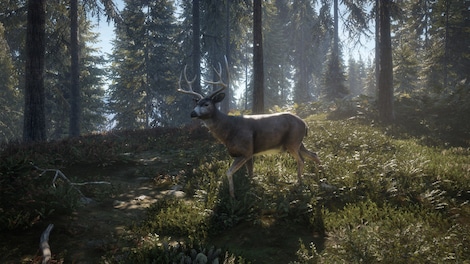 theHunter: Call of the Wild - Seasoned Hunter Bundle (PC) - Steam Account - GLOBAL - 5