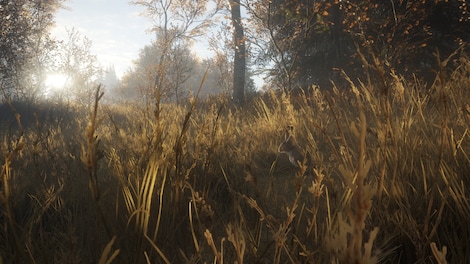 theHunter: Call of the Wild - Seasoned Hunter Bundle (PC) - Steam Account - GLOBAL - 19
