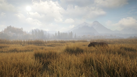 theHunter: Call of the Wild - Seasoned Hunter Bundle (PC) - Steam Account - GLOBAL - 22