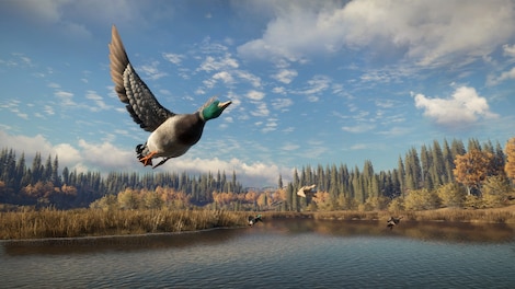 theHunter: Call of the Wild - Seasoned Hunter Bundle (PC) - Steam Account - GLOBAL - 24
