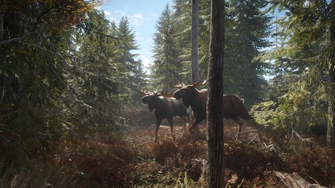 theHunter: Call of the Wild - Seasoned Hunter Bundle (PC) - Steam Account - GLOBAL - 3