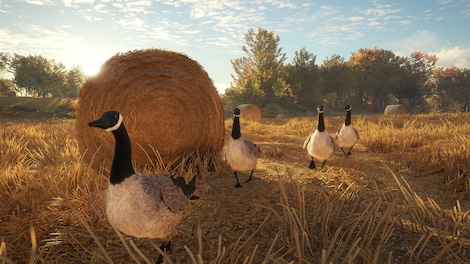 theHunter: Call of the Wild - Seasoned Hunter Bundle (Xbox One) - Xbox Live Account - GLOBAL - 15