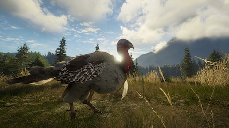 theHunter: Call of the Wild - Silver Ridge Peaks (PC) - Steam Key - GLOBAL - 5