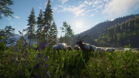 theHunter: Call of the Wild - Silver Ridge Peaks (PC) - Steam Key - GLOBAL - 7