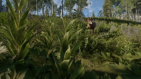 theHunter: Call of the Wild - Silver Ridge Peaks (PC) - Steam Key - GLOBAL - 9