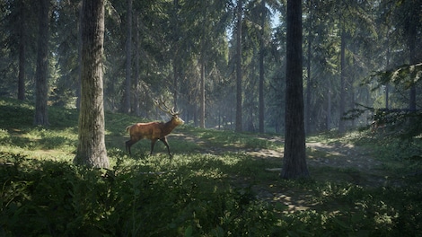 theHunter: Call of the Wild (PC) - Steam Key - GLOBAL - 9