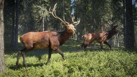 theHunter: Call of the Wild (PC) - Steam Key - GLOBAL - 8