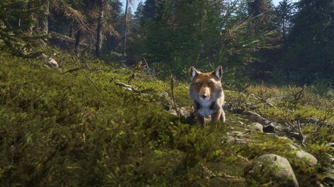 TheHunter: Call of the Wild - Sundarpatan Nepal Hunting Reserve (PC) - Steam Gift - EUROPE - 10