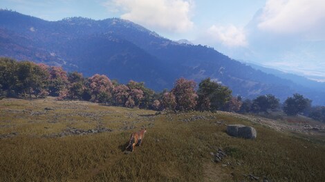 TheHunter: Call of the Wild - Sundarpatan Nepal Hunting Reserve (PC) - Steam Gift - NORTH AMERICA - 9