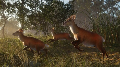 TheHunter: Call of the Wild - Sundarpatan Nepal Hunting Reserve (PC) - Steam Gift - NORTH AMERICA - 12