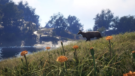 TheHunter: Call of the Wild - Sundarpatan Nepal Hunting Reserve (PC) - Steam Key - GLOBAL - 5