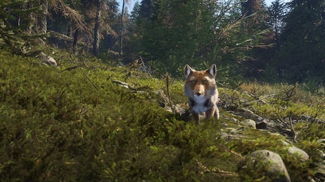 TheHunter: Call of the Wild - Sundarpatan Nepal Hunting Reserve (PC) - Steam Key - GLOBAL - 10