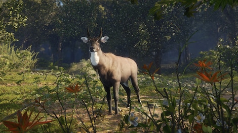 TheHunter: Call of the Wild - Sundarpatan Nepal Hunting Reserve (PC) - Steam Key - GLOBAL - 11