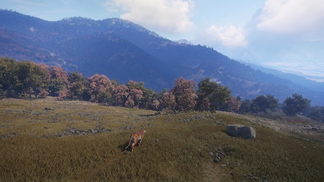 TheHunter: Call of the Wild - Sundarpatan Nepal Hunting Reserve (PC) - Steam Key - GLOBAL - 9