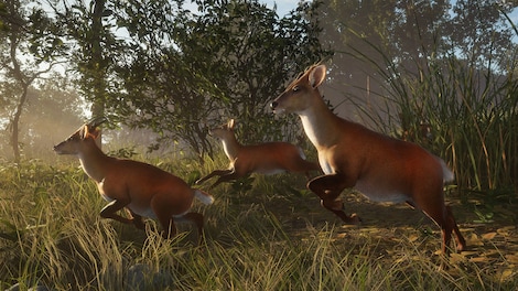 TheHunter: Call of the Wild - Sundarpatan Nepal Hunting Reserve (PC) - Steam Key - NORTH AMERICA - 12