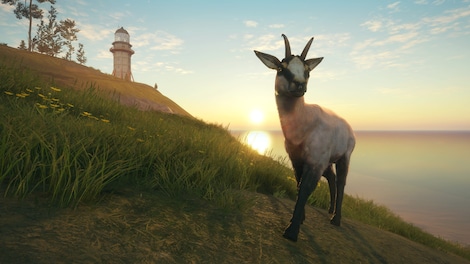 theHunter: Call of the Wild - Te Awaroa National Park (PC) - Steam Gift - GLOBAL - 3
