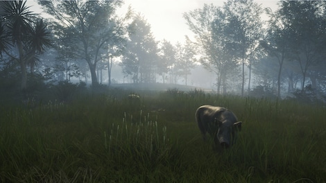 theHunter: Call of the Wild - Te Awaroa National Park (PC) - Steam Gift - GLOBAL - 5