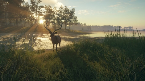 theHunter: Call of the Wild - Te Awaroa National Park (PC) - Steam Gift - GLOBAL - 8