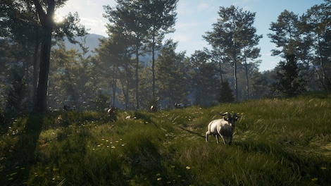 theHunter: Call of the Wild - Te Awaroa National Park (PC) - Steam Gift - GLOBAL - 11