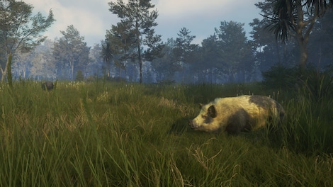 theHunter: Call of the Wild - Te Awaroa National Park (PC) - Steam Gift - GLOBAL - 9