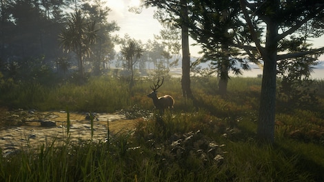 theHunter: Call of the Wild - Te Awaroa National Park (PC) - Steam Gift - GLOBAL - 14