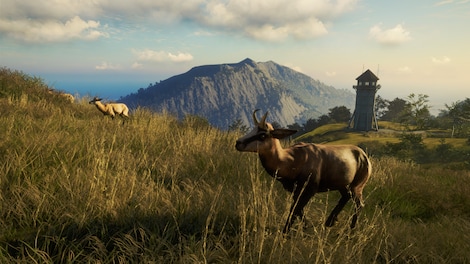 theHunter: Call of the Wild - Te Awaroa National Park (PC) - Steam Gift - GLOBAL - 10