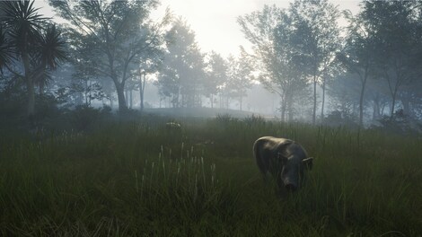 theHunter: Call of the Wild - Te Awaroa National Park (PC) - Steam Gift - NORTH AMERICA - 5
