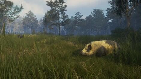 theHunter: Call of the Wild - Te Awaroa National Park (PC) - Steam Key - EUROPE - 9