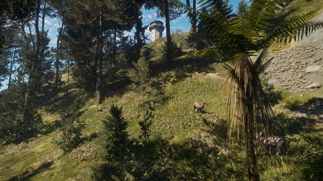 theHunter: Call of the Wild - Te Awaroa National Park (PC) - Steam Key - EUROPE - 6