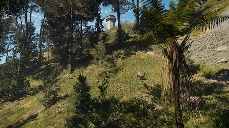 theHunter: Call of the Wild - Te Awaroa National Park (PC) - Steam Key - GLOBAL - 6